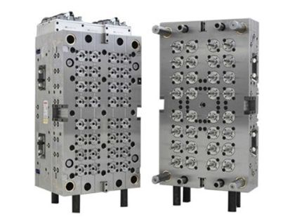 医療用カビ 医療用カビ